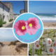 Ma Pause Detox - Ile de Ré